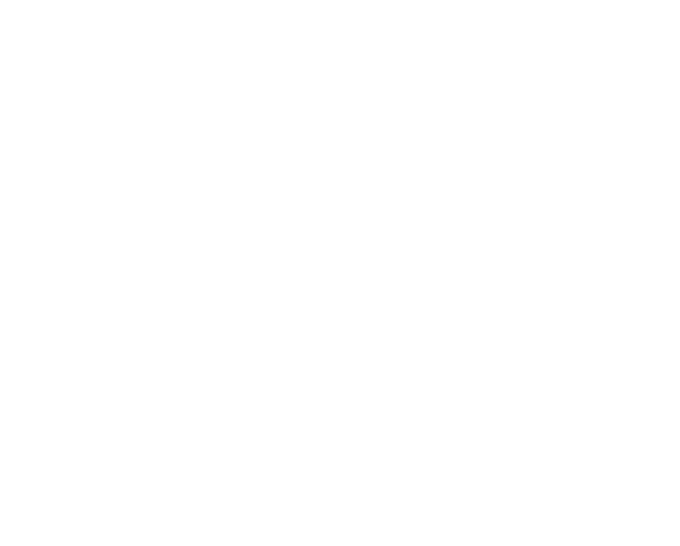 Drone 1 Consulting LLC